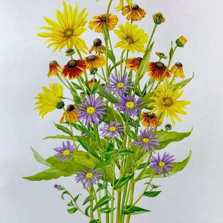 Capturing colour in a summer bouquet