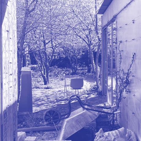 Summer garden