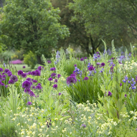 Garden design