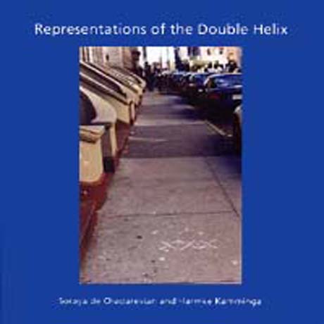 Representations of the Double Helix