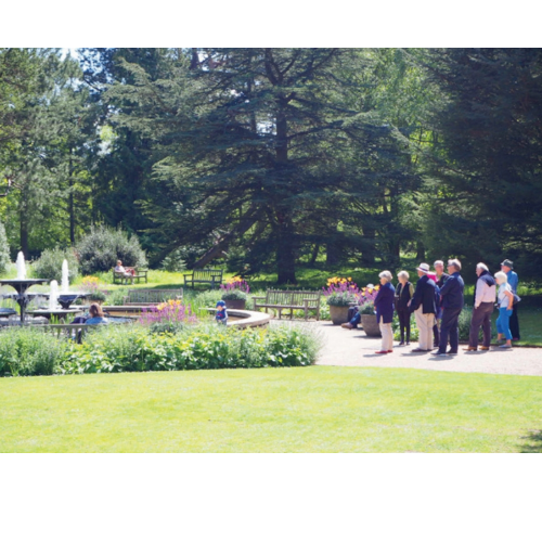 Friends Evening Tour