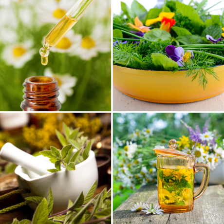 Aromatic herbs for wellbeing, beauty and cooking