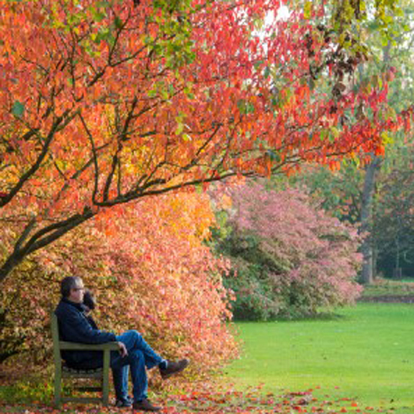 Botanic Garden