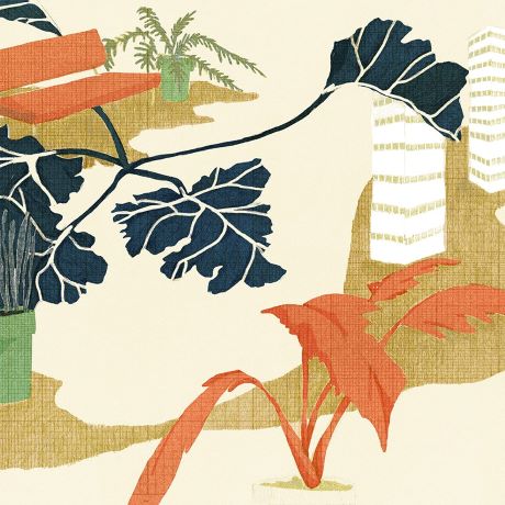 Drawing botanicals