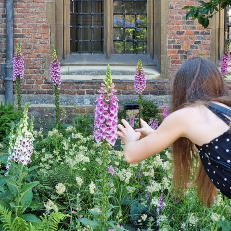 Mobile phone photography