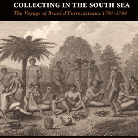 Collecting in the South Sea