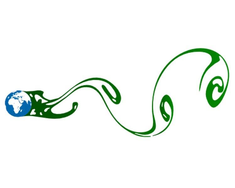 FDSE logo