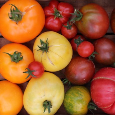 Grow your own vegetables