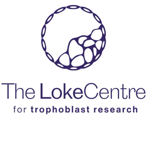 LokeCentre Logo