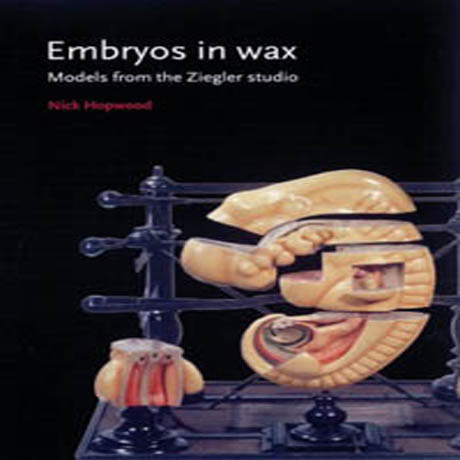 Embryos in Wax