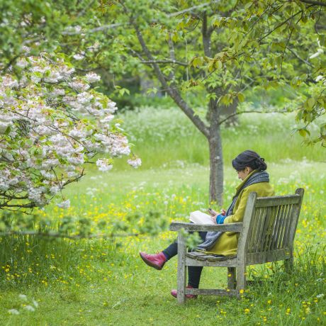 Unearthing the past: How to write a nature memoir