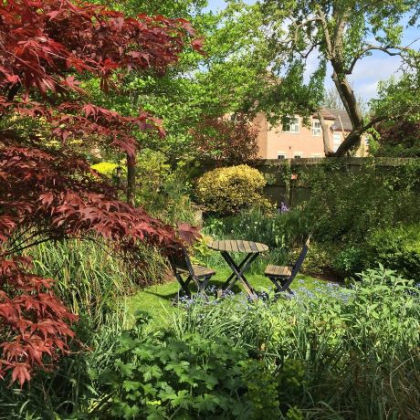 Tiny garden design