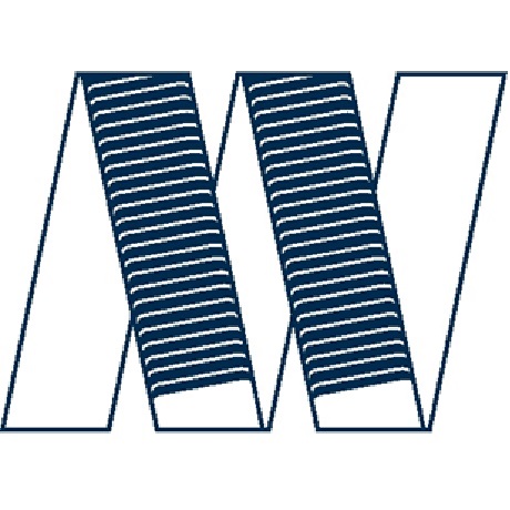 Nanowire logo