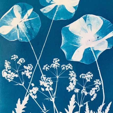 Botanical Blueprints