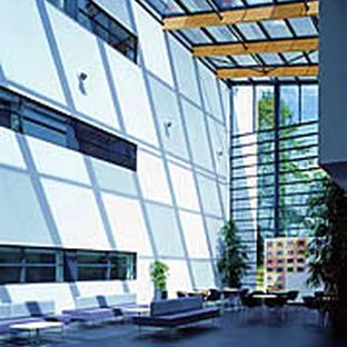 Sport, Exercise & Rehabilitation Sciences
