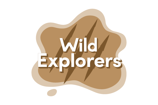 Wild Explorers Holiday Club