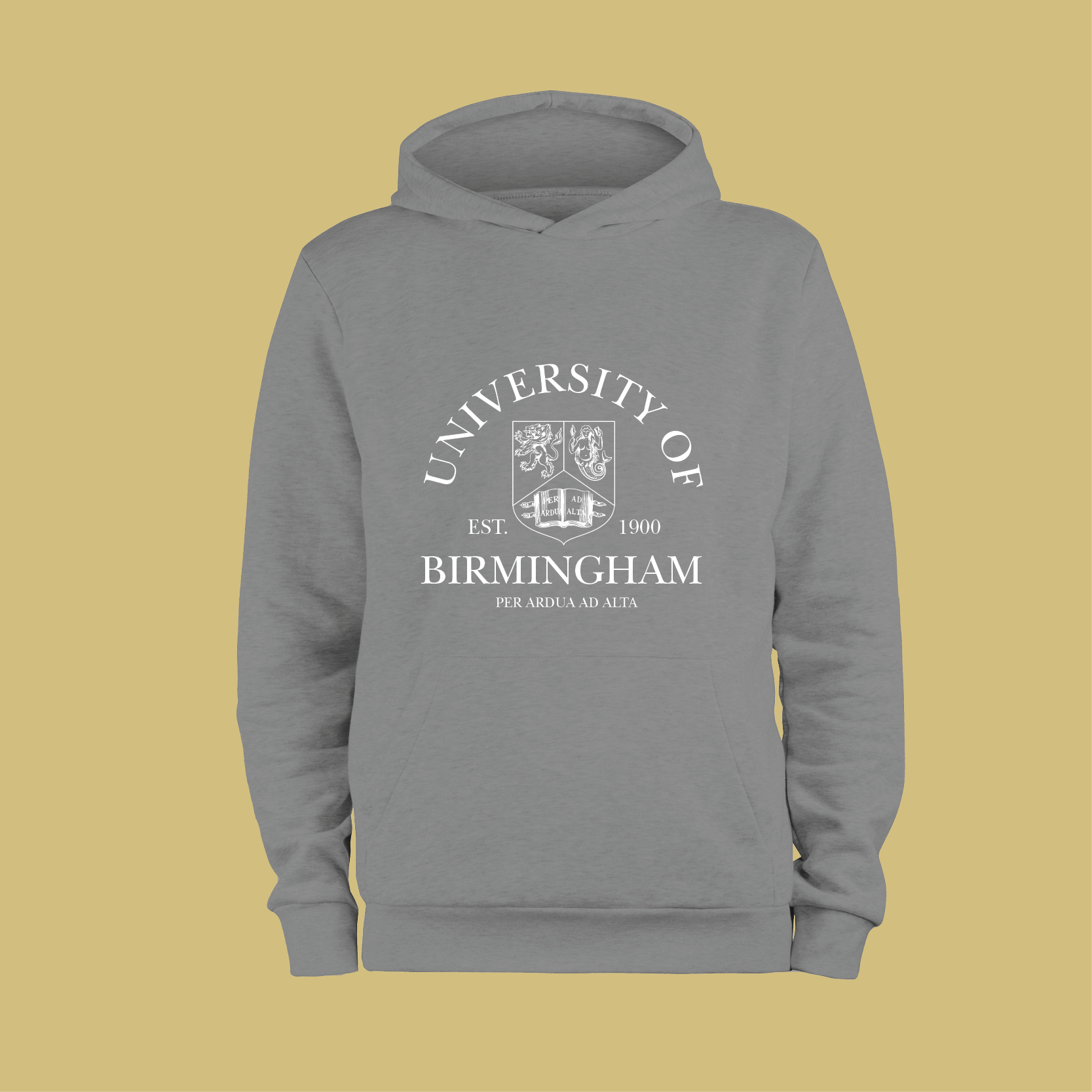 University of Birmingham Hoodie - Large Crest