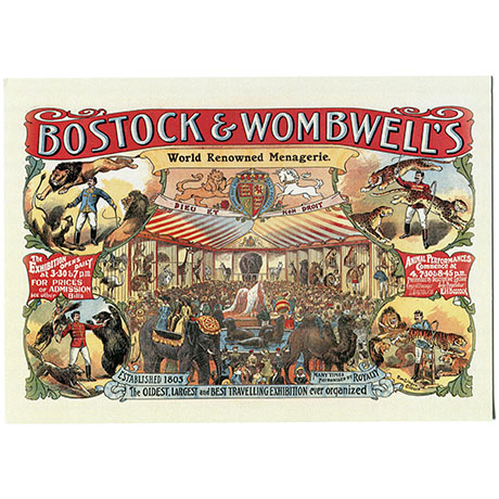 Postcard – Bostock and Wombwell Poster