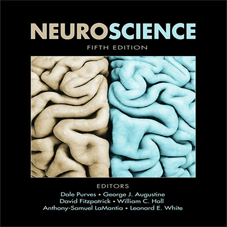 Neuroscience: 5th Edition