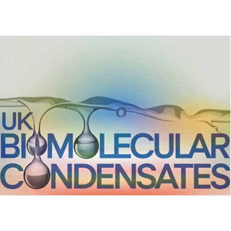 UK Biomolecular Condensates