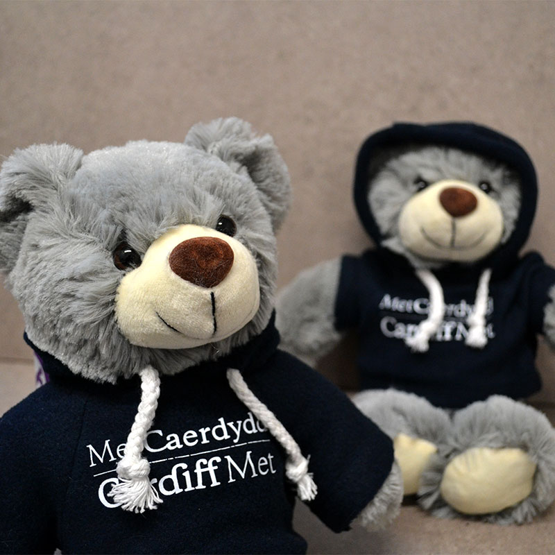 Bear in Cardiff Met hoodie