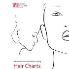 Hair chart photo