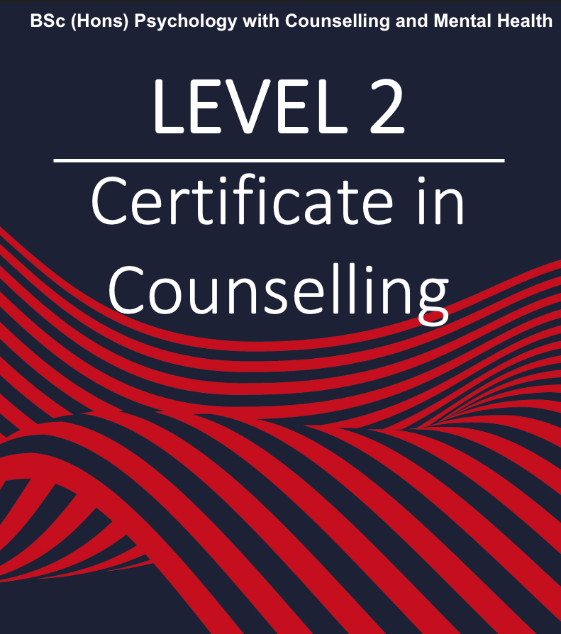 Level 2 counselling