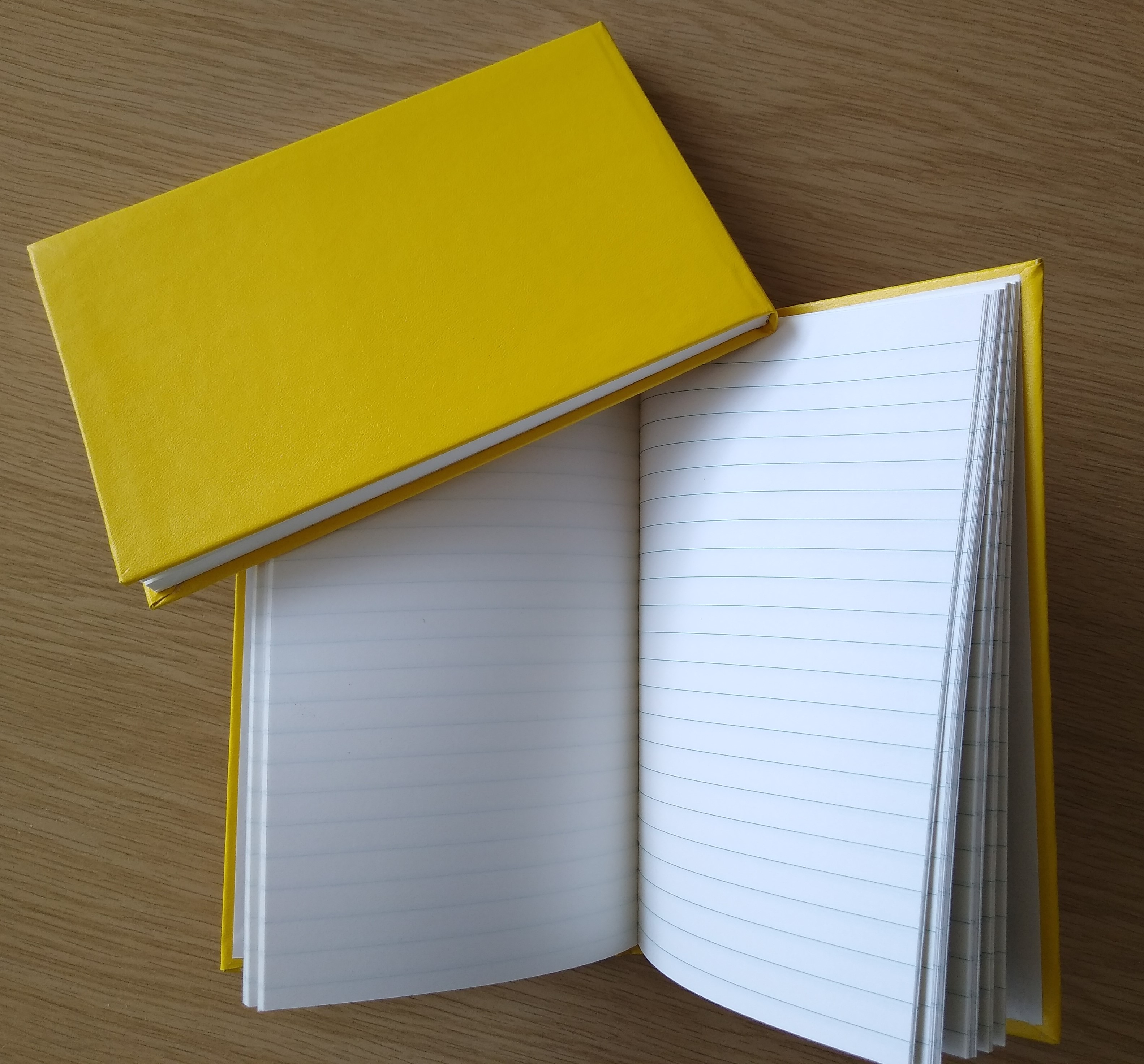 Field notebook