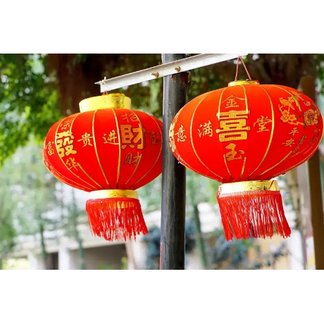 Two red Chinese lanterns hanging in front of greenery