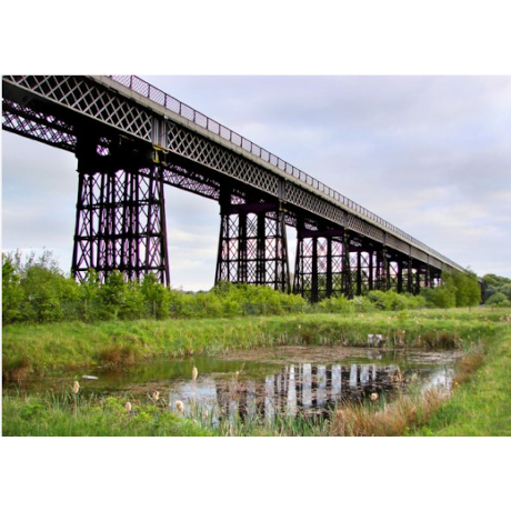 Photo of Bennerley Viaduct from the grass below
