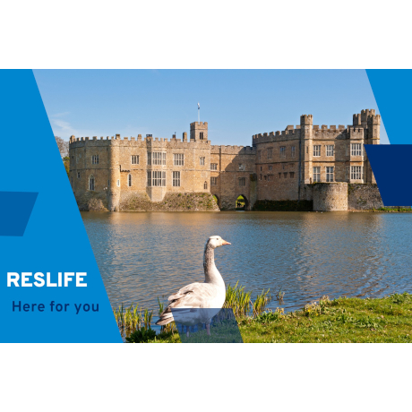 Leeds Castle from over the lake, a goose in the foreground