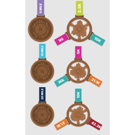 Bristol Run Series 2024-2025 Medals