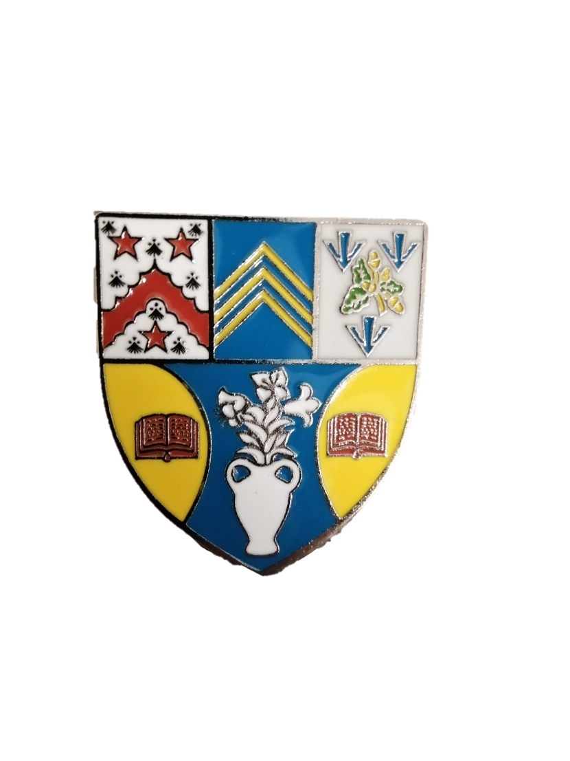 Abertay University Pin Badge