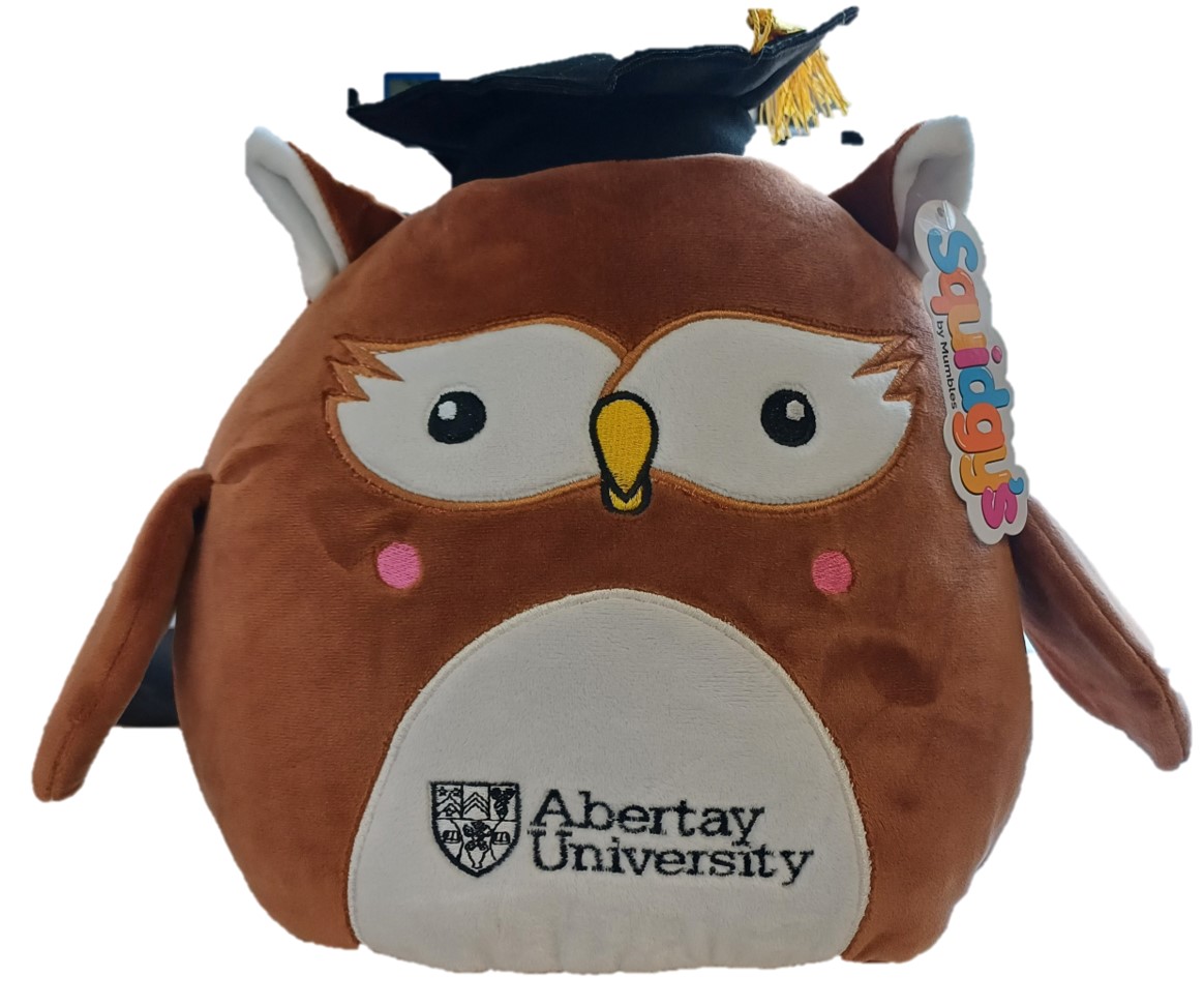 Abertay Squidgy Wise Owl