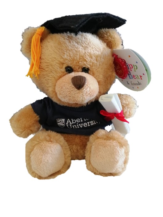 Abertay Graduation Bear