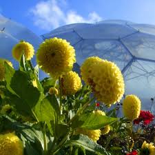 Eden Project