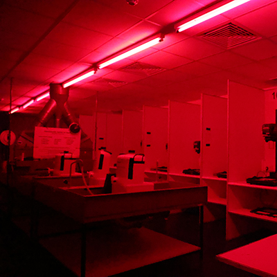 Introduction to the Darkroom 14 - 15 April 2025