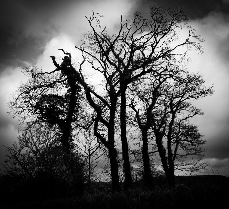 Haunted Landscapes