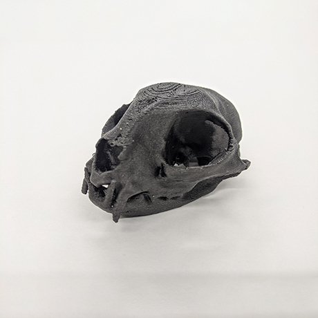 Carbon Fibre 3D-Printed Cat Skull