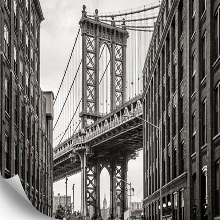 NY