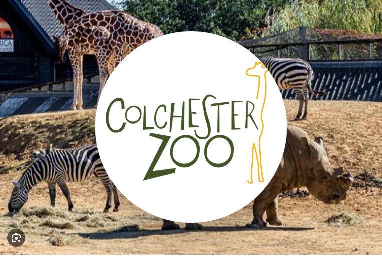 colchester zoo logo