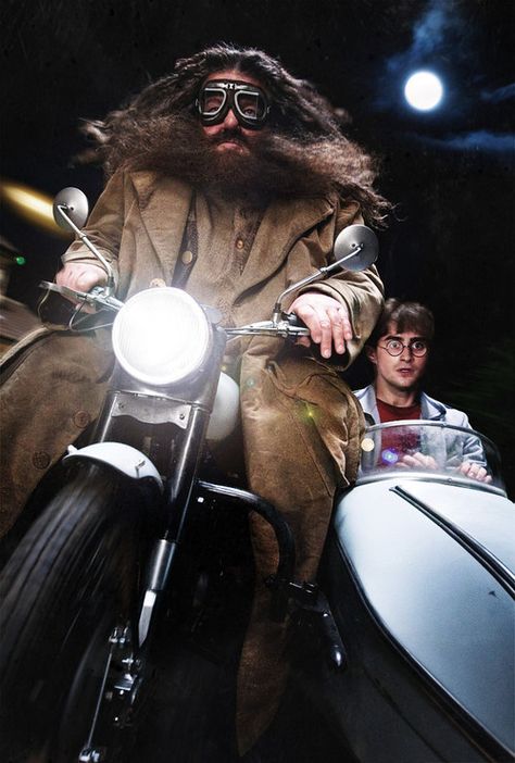 Harry and Hagrid