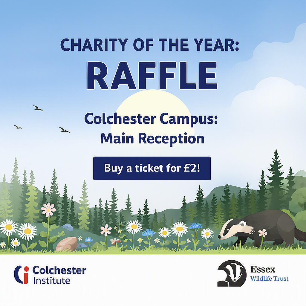 raffle poster