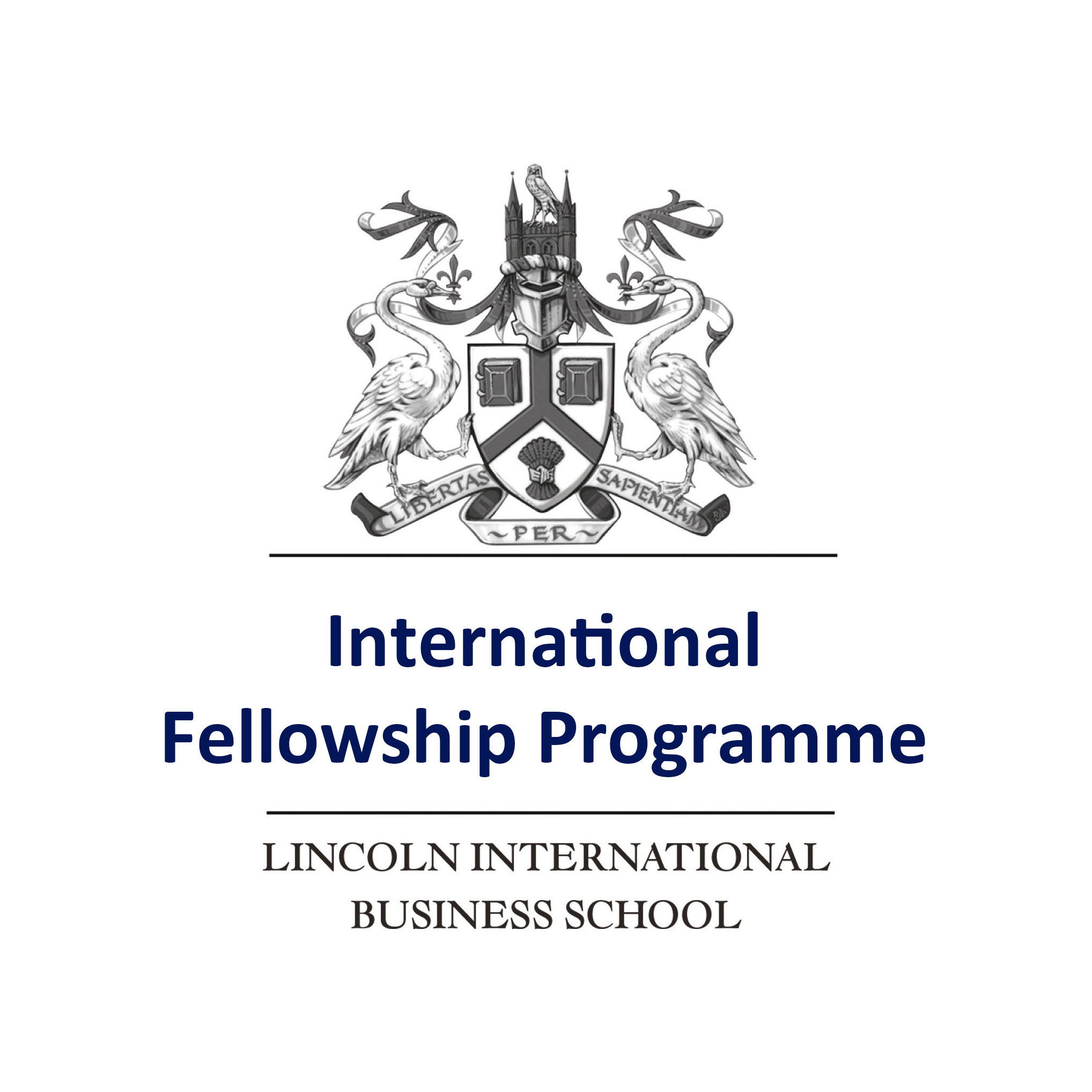 International Fellowship Programme - Online Payments