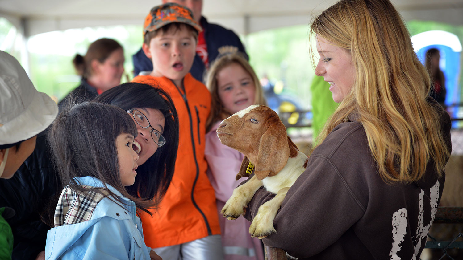 Junior Animal Experience Day