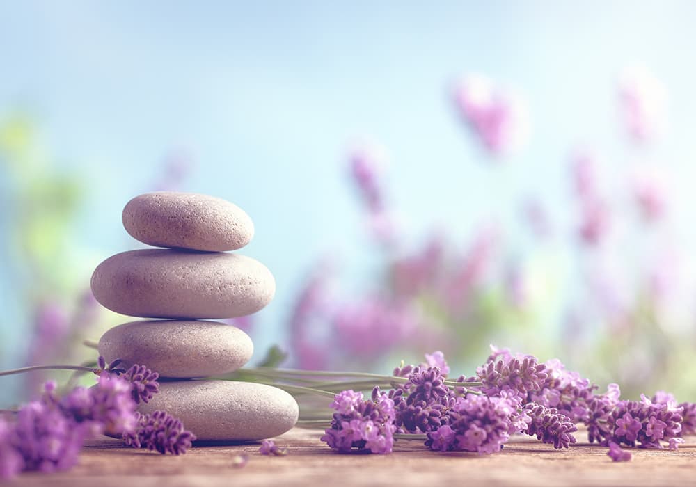 L2 Beauty Therapy