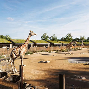 Chester Zoo: Earth and Ecological Systems 13th Feb 2026