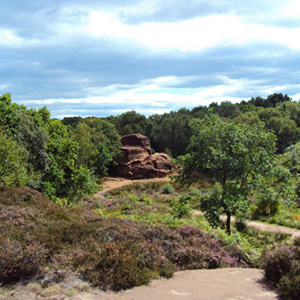 Thurstaston: Explorations in Conservation Biology 16th Feb 2026