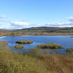 Leighton Moss: Explorations in Conservation Biology 23rd March 2026