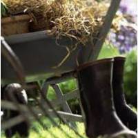Tools, wheelbarrow and boots